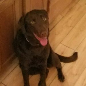 Meet your Posher, Lindsey